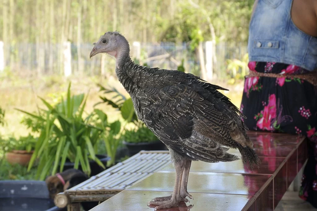 2018-10-21 13-57-42.webp