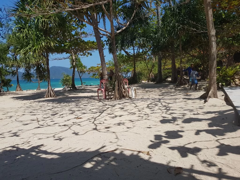 20180204_135314.webp