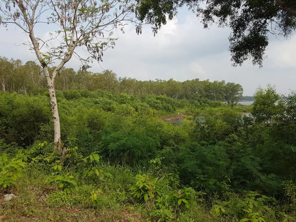 20180323_092653.webp