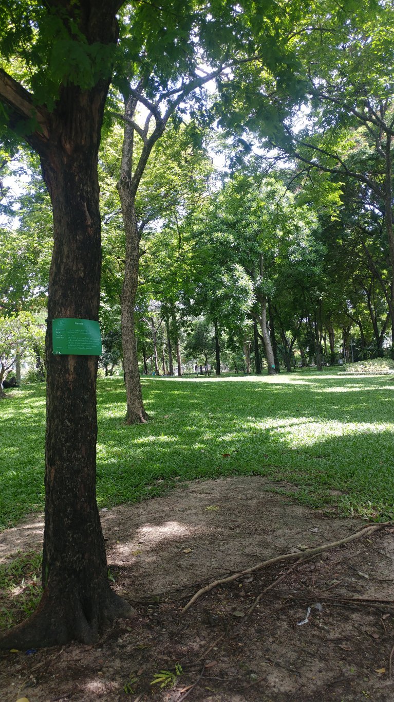 20180620_140924.jpg