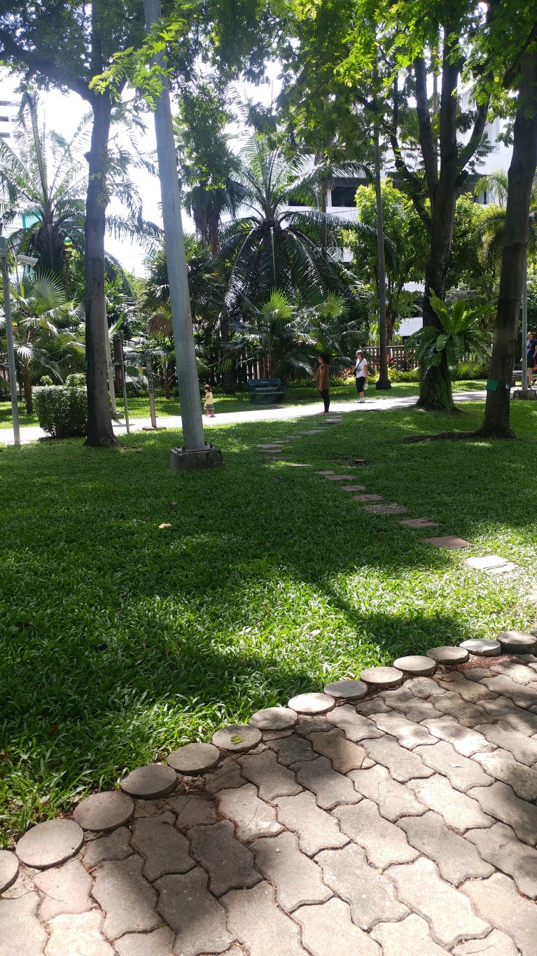 20180620_140959.jpg