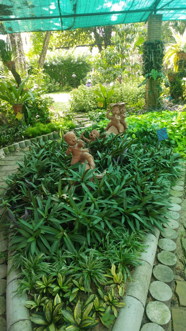20180620_145227.jpg
