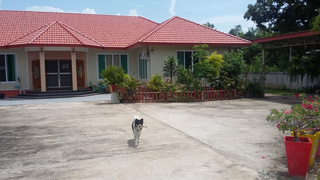 20180820_133151.jpg