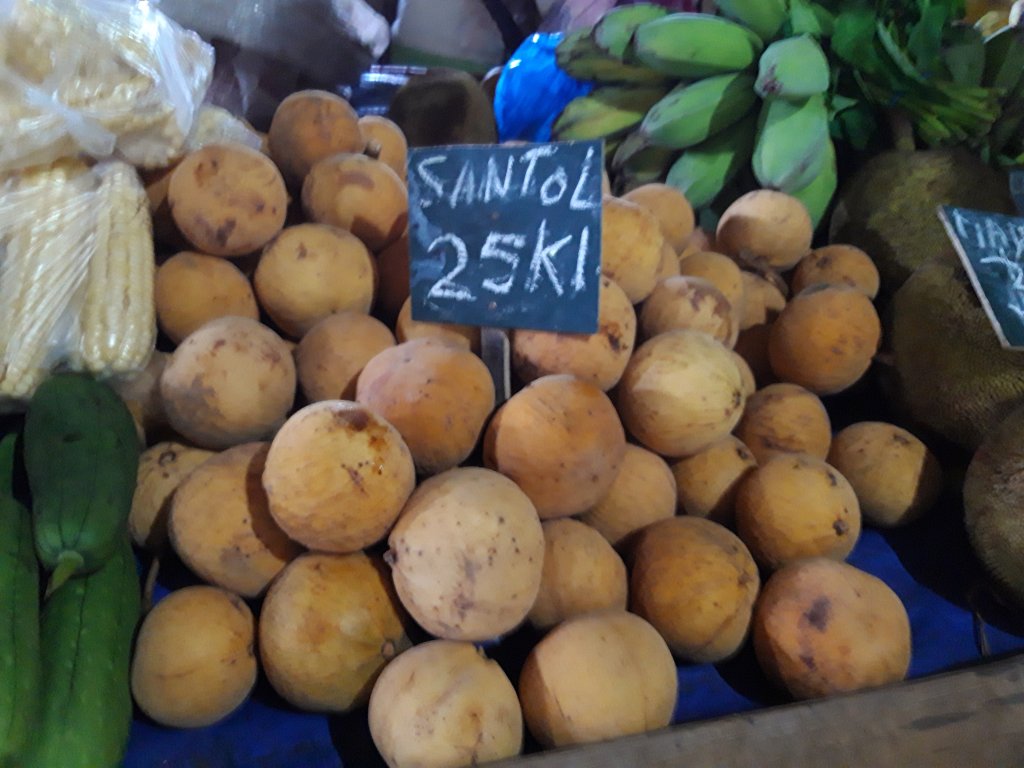 20181002_131642.jpg