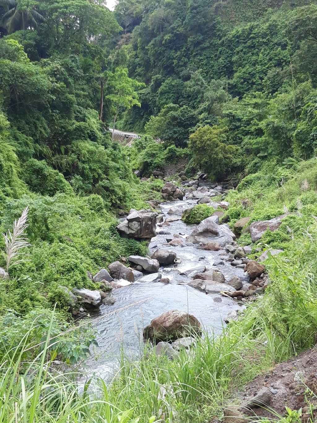 20181105_114342.jpg