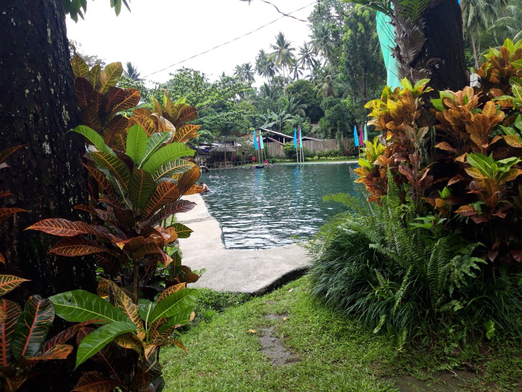 20181105_121656.jpg