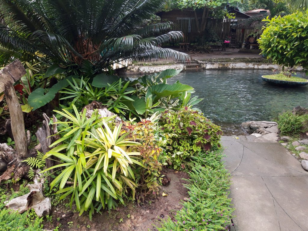 20181105_122657.jpg