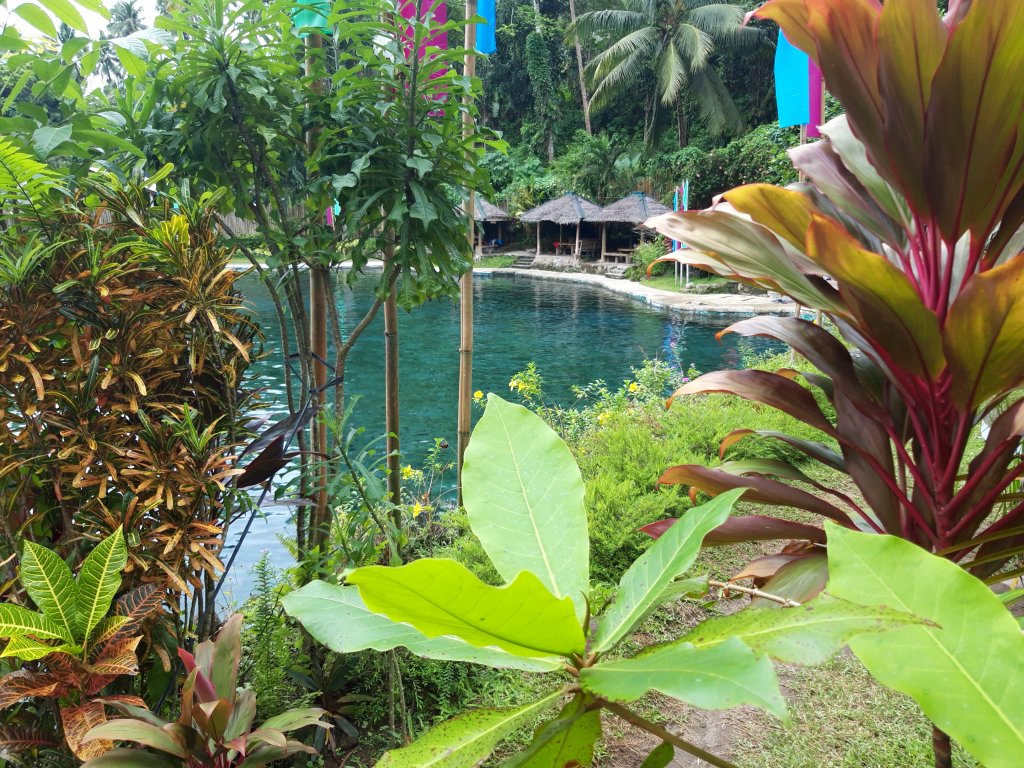 20181105_123305.jpg