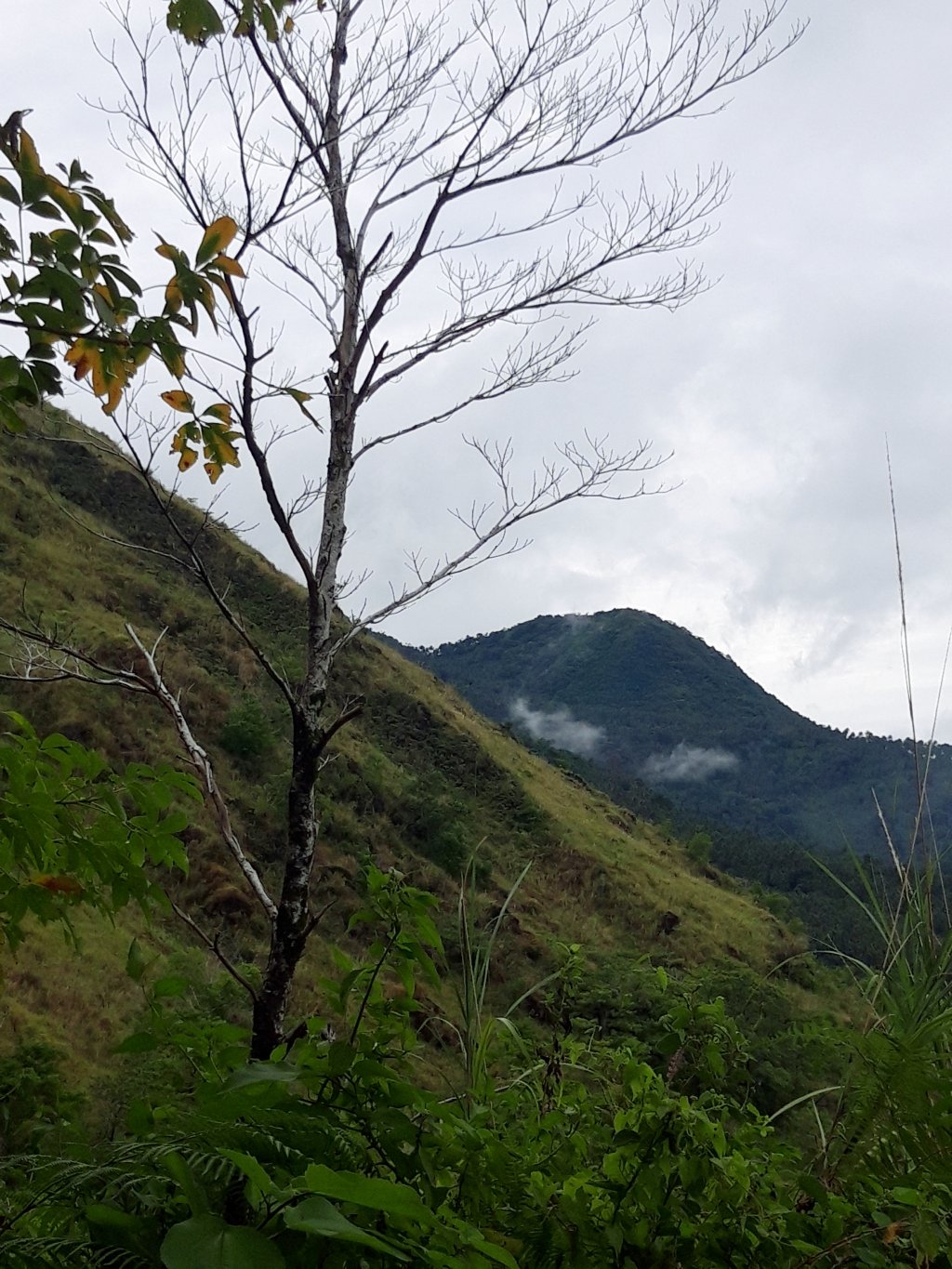 20181105_214517.jpg