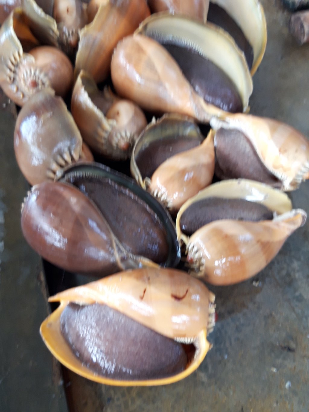 20181115_104308.jpg