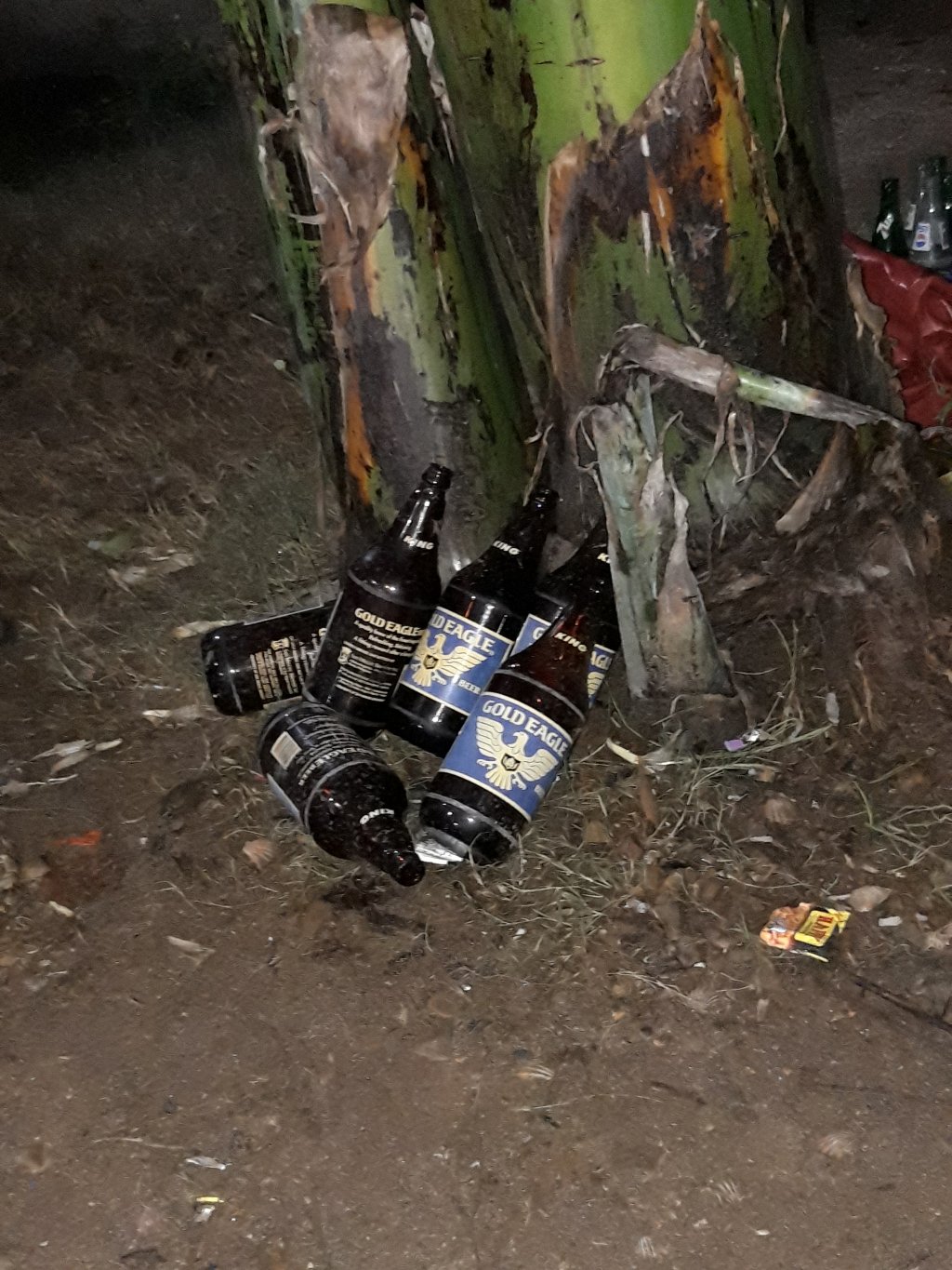 20181121_193807.jpg
