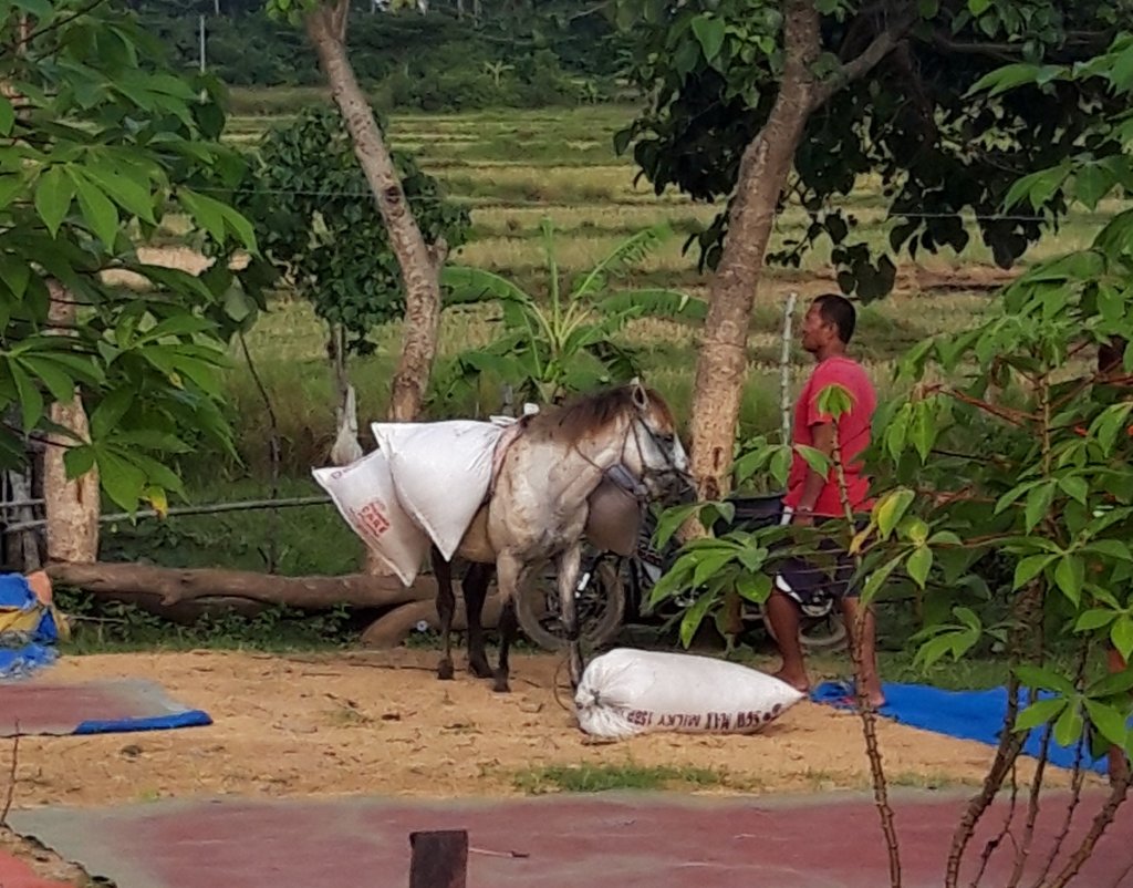 20181125_075850.jpg