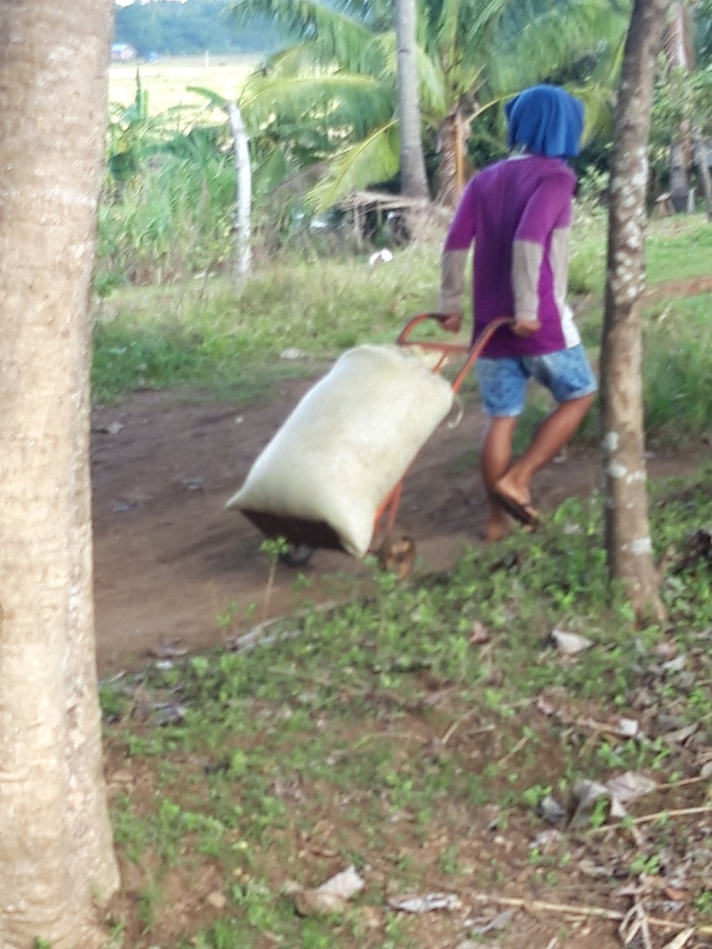 20181125_083021.jpg