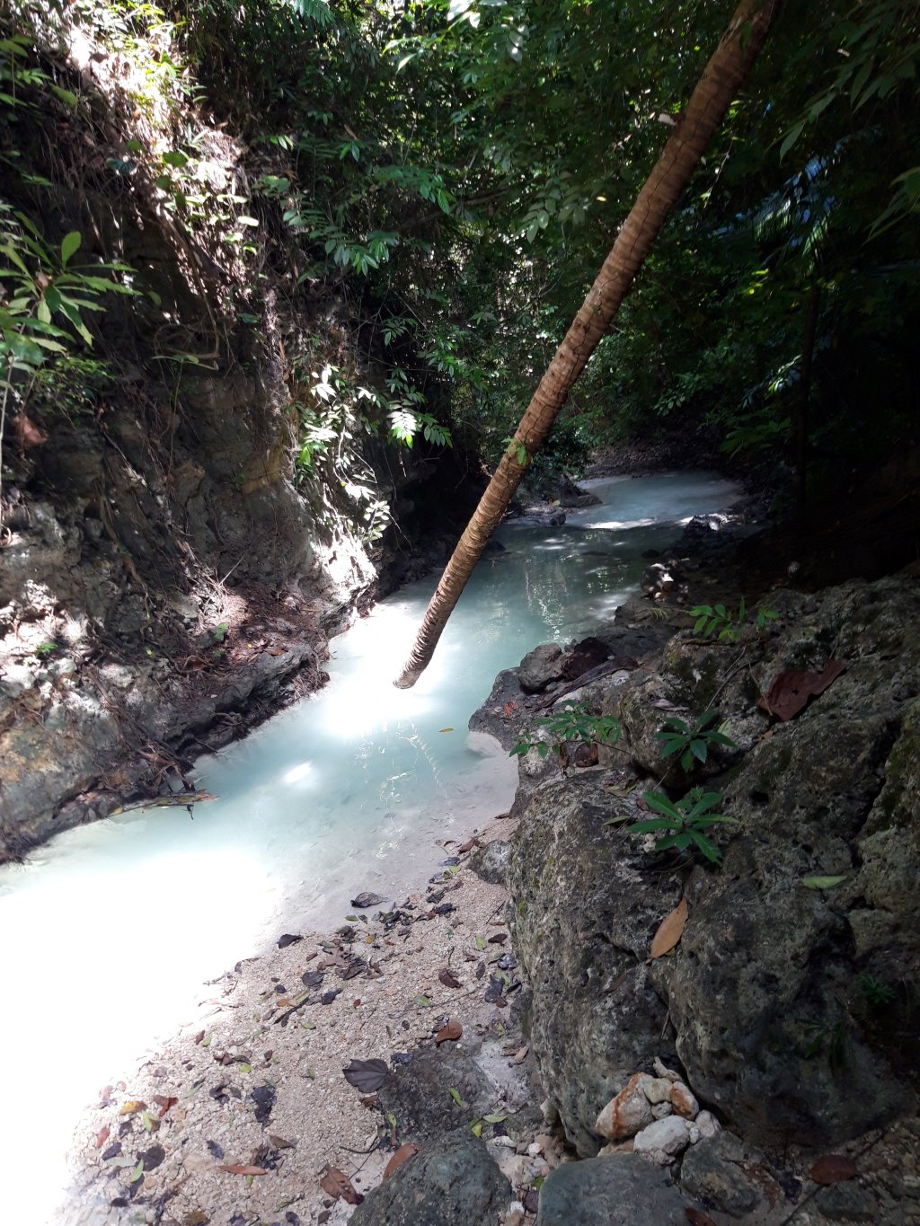20181130_102344.jpg