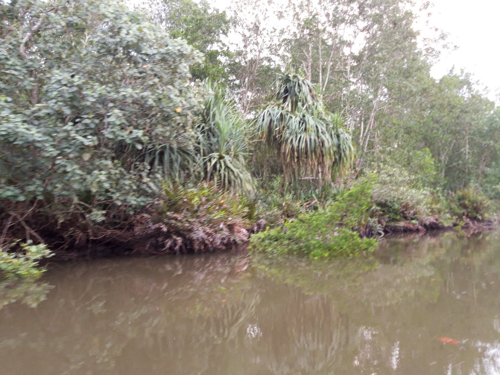 20181223_173927.jpg