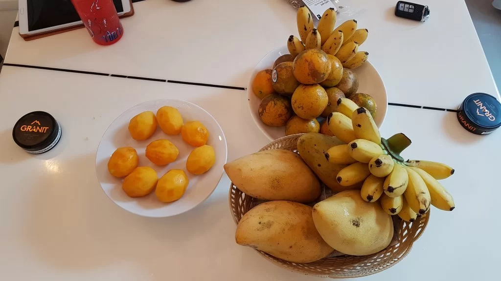 20190111_090244.webp