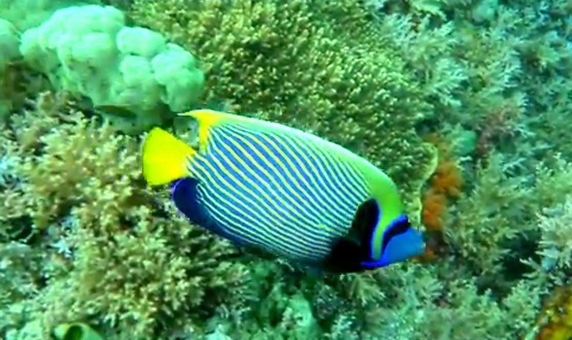 20190323_215041.jpg