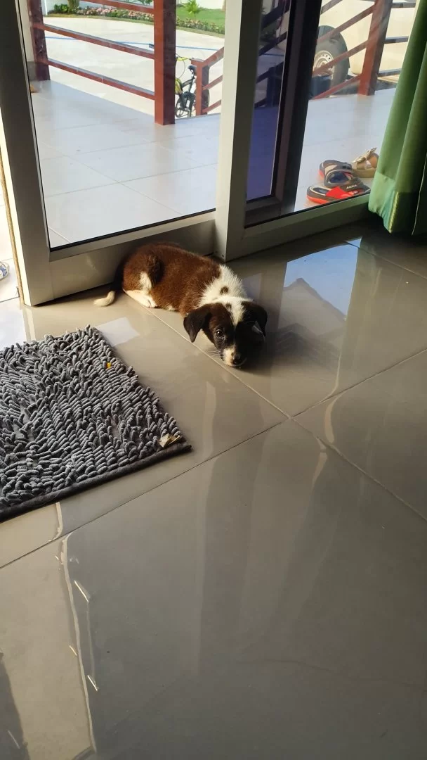 20190427_063007.webp