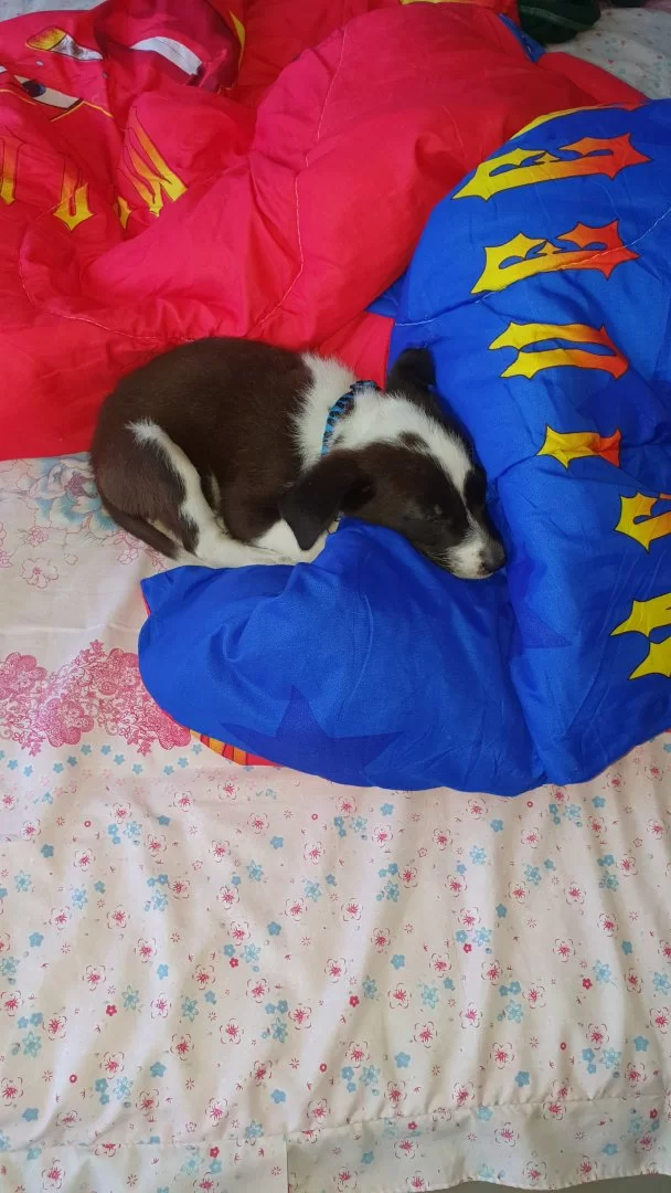 20190501_101413.webp