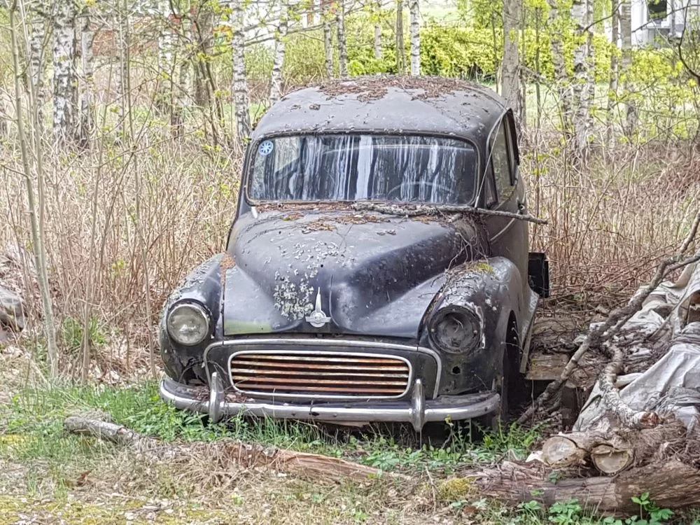 20190505_111929.jpg.7033b199e29dfe7e744c4f33cf9d135a.webp
