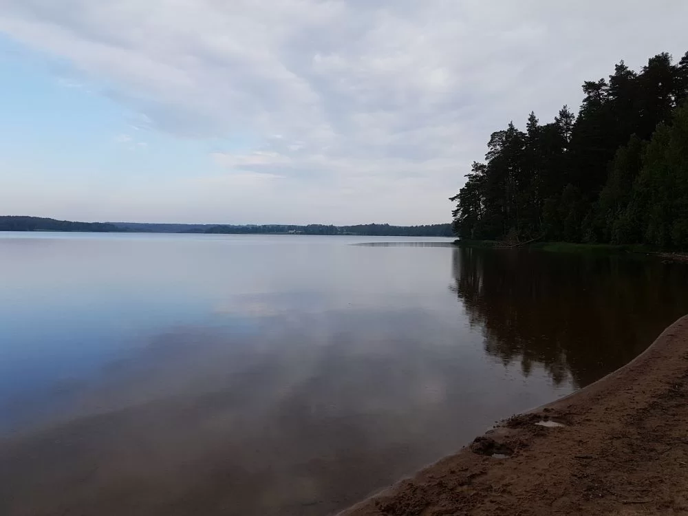 20190607_075839.jpg.f4a7d9f8d95ad8977603ab9ab38f7d22.webp
