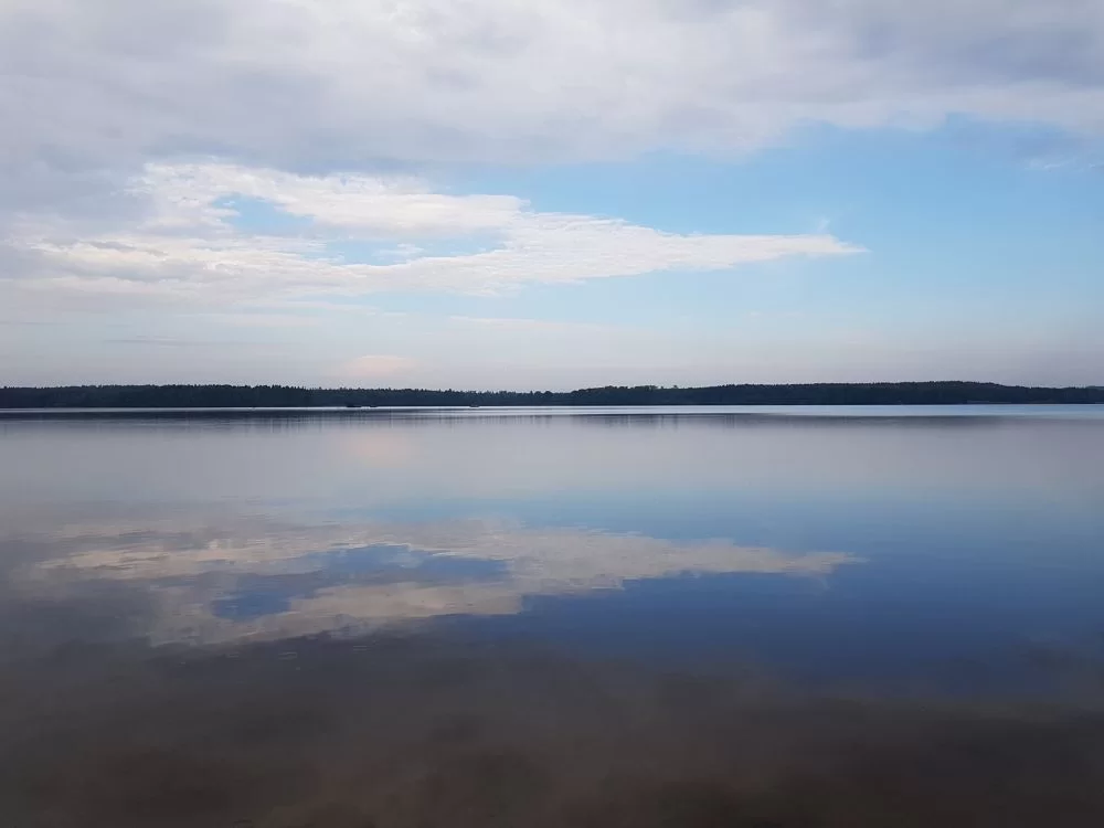 20190607_075911.jpg.5bd1092a8ef1ca2c0107912d7b718f6b.webp
