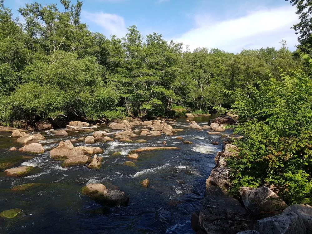 20190710_162819.jpg.484c4ac242d92b641c1a91c4155a427d.webp