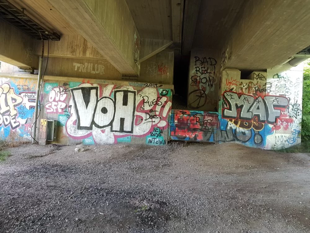 20190710_163013.jpg.99ad59c3ca74297c2afa0567f192f2bb.webp