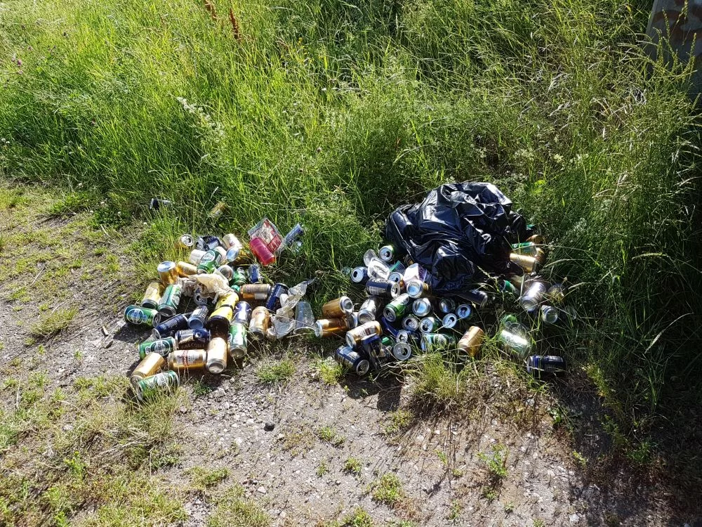 20190710_163047.jpg.2e809a246d197ca0a541148155d490fc.webp