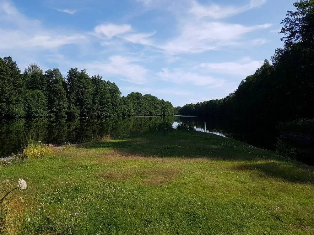 20190710_163112.jpg.80e9f748f11a09e50c2262eadb9172e4.webp