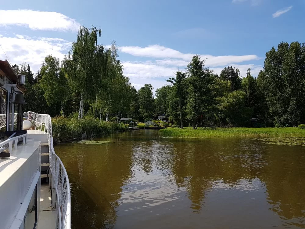 20190713_151346.jpg.35ff4501ffd213cb7dd1bc666b14ccc3.webp