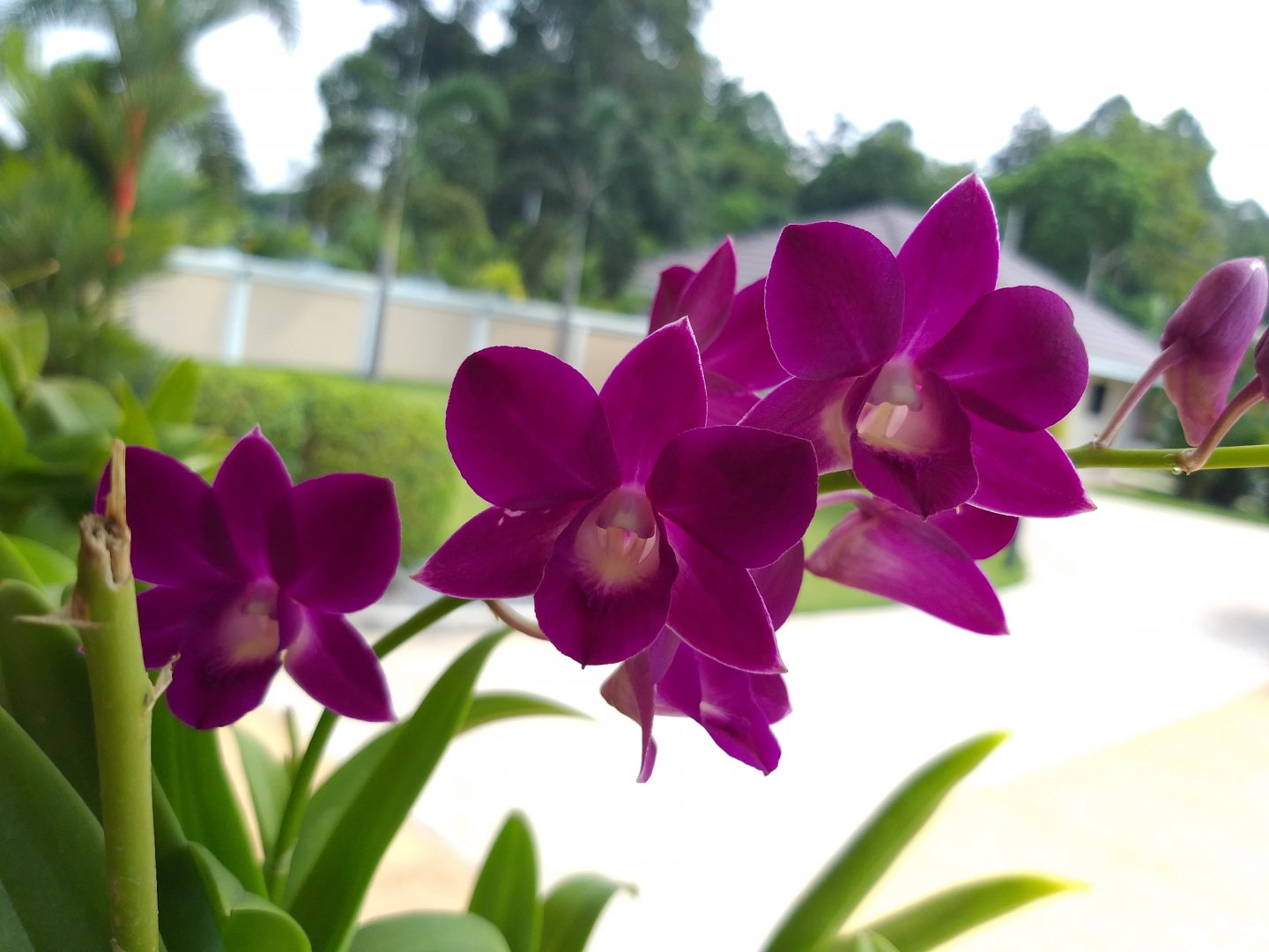 20190930_100541.jpg
