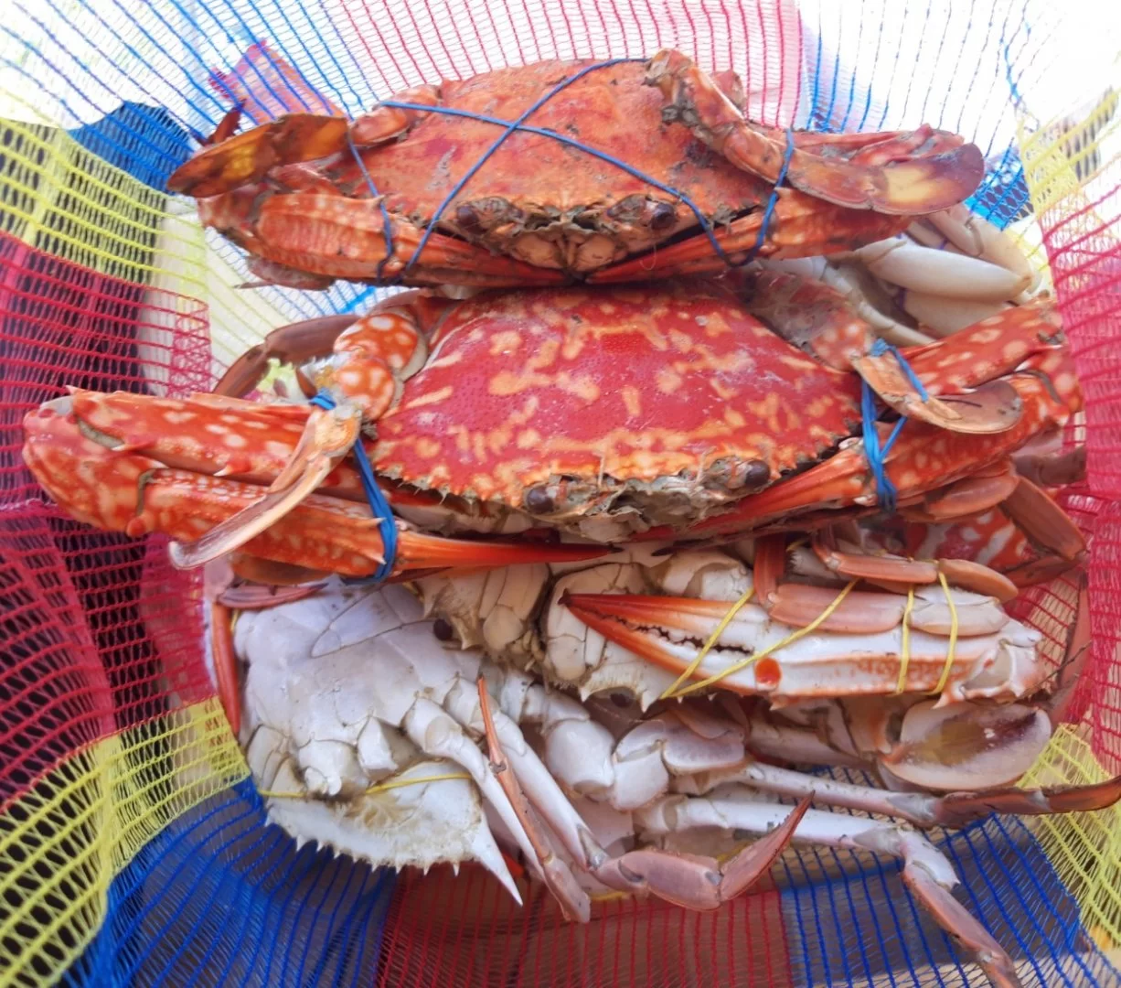 20191007_111117-1252x1103.webp