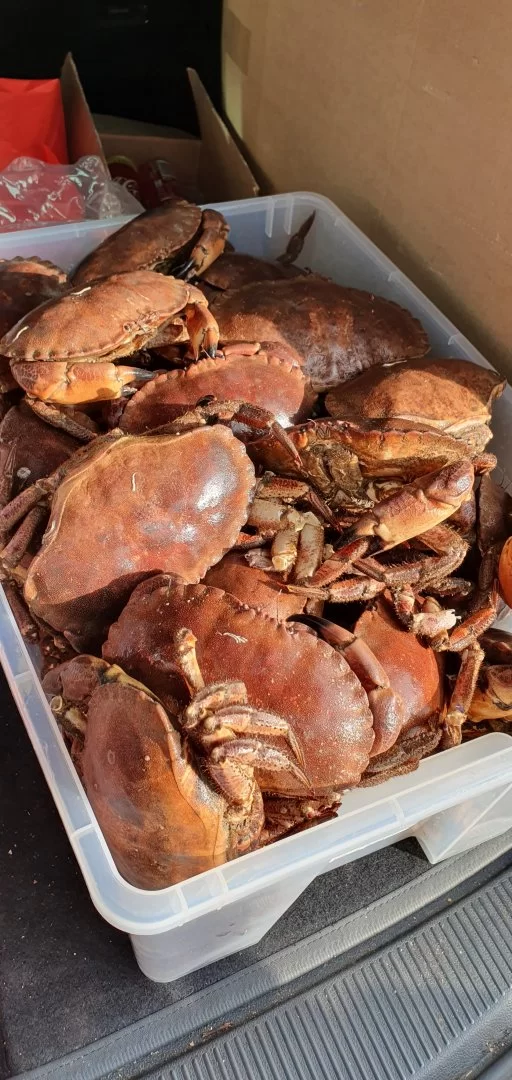 20191020_140012.webp