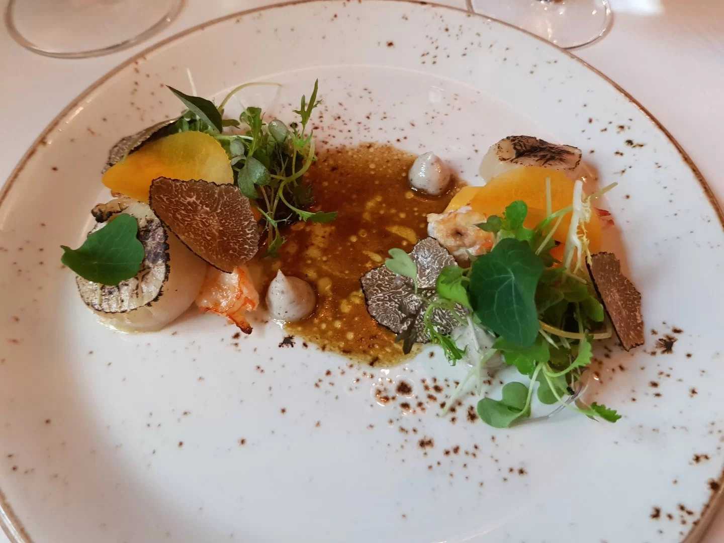 20191025_125449.webp