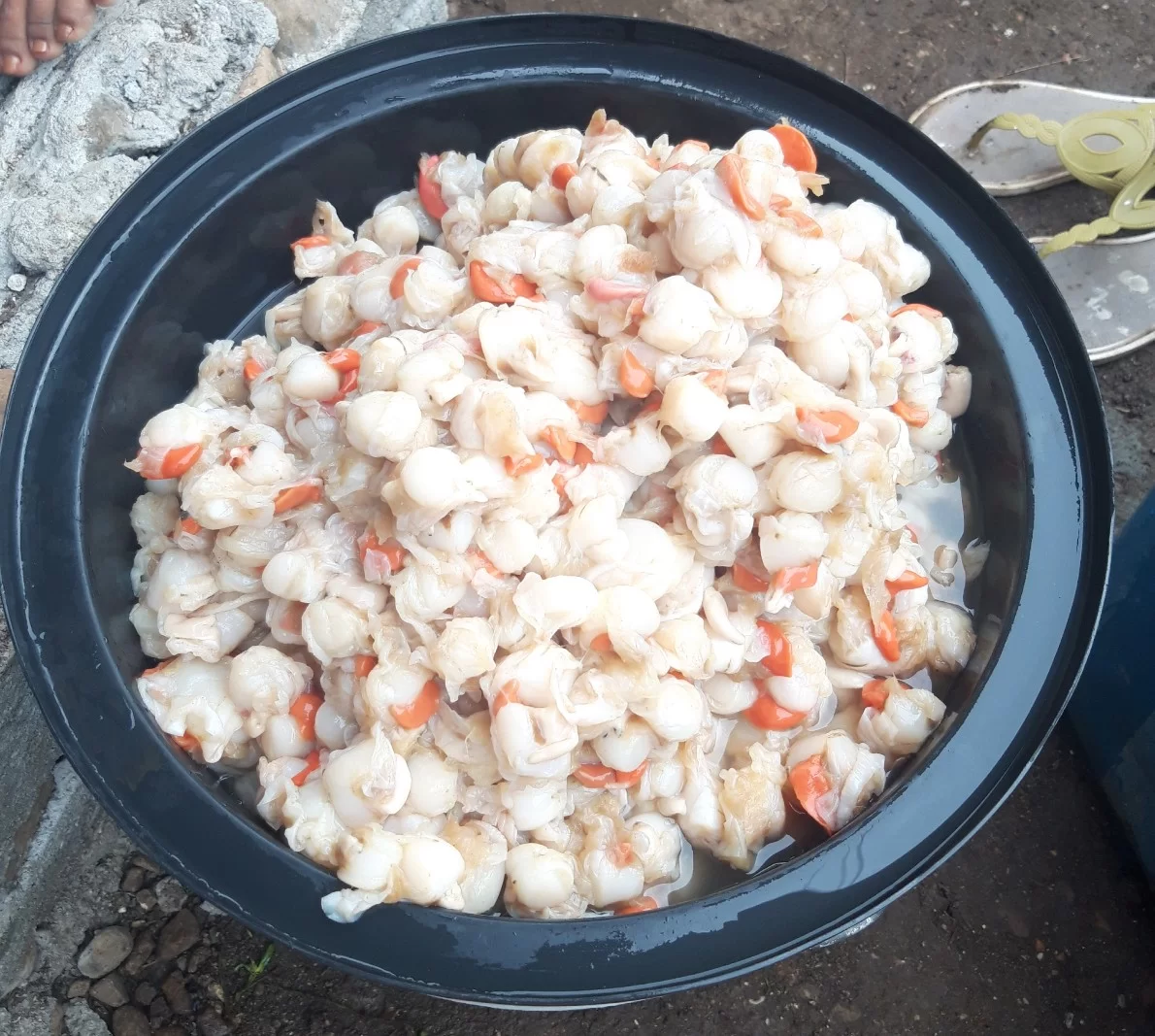 20191027_073611-1190x1067.webp
