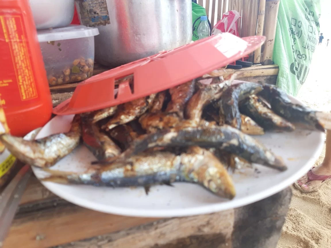 20191027_134214-1152x864.webp