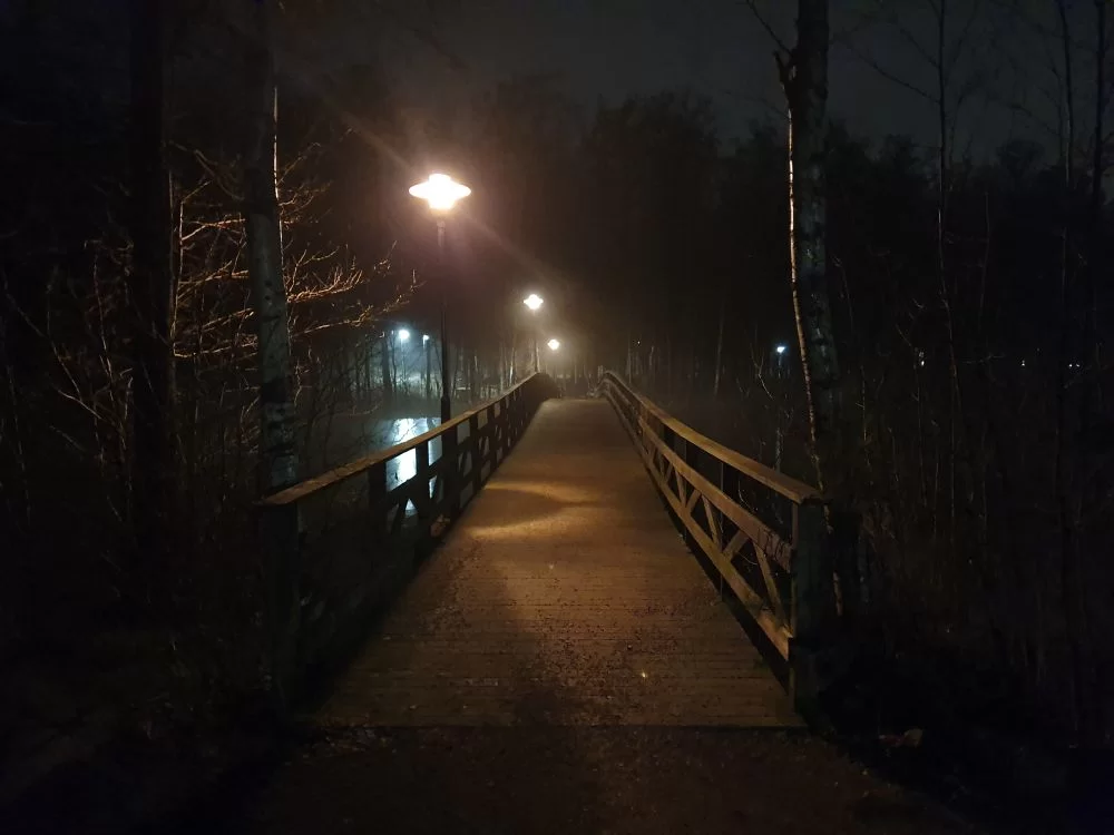 20191104_172032.jpg.a99ee866e03ab885e92541dd0c2b8a80.webp