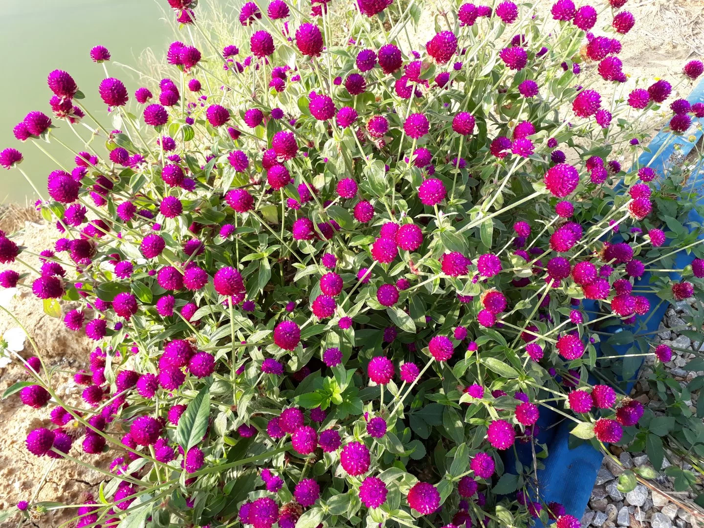 20191206_083344.webp