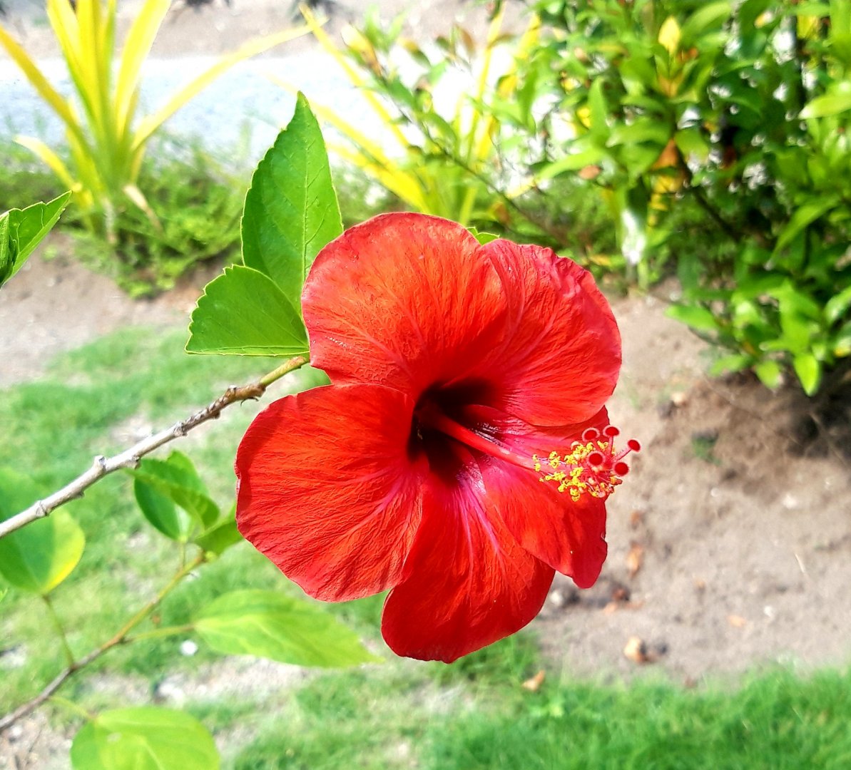 20200907_144716.jpg