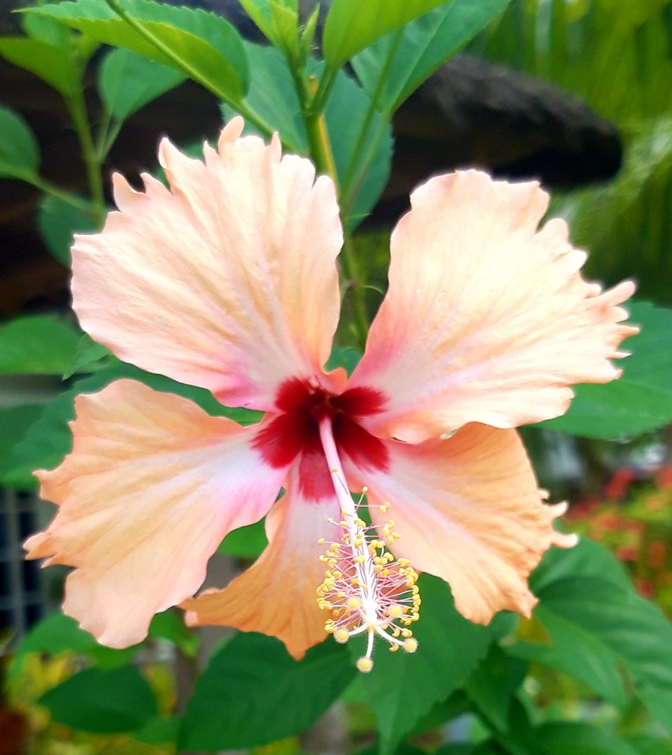 20200908_095315.jpg