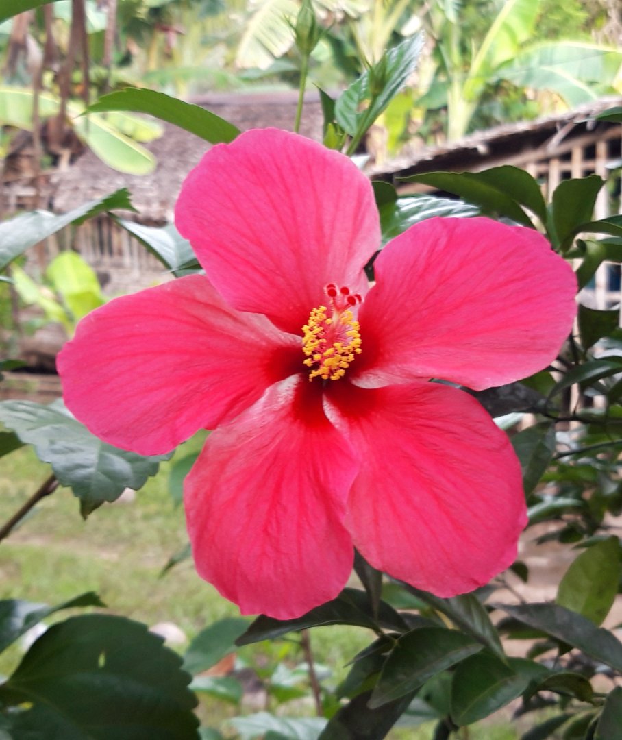 20200911_170101.jpg