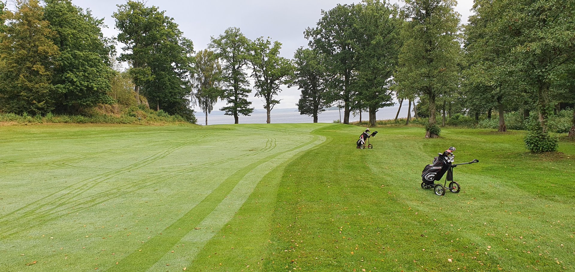 20200916_093817.jpg