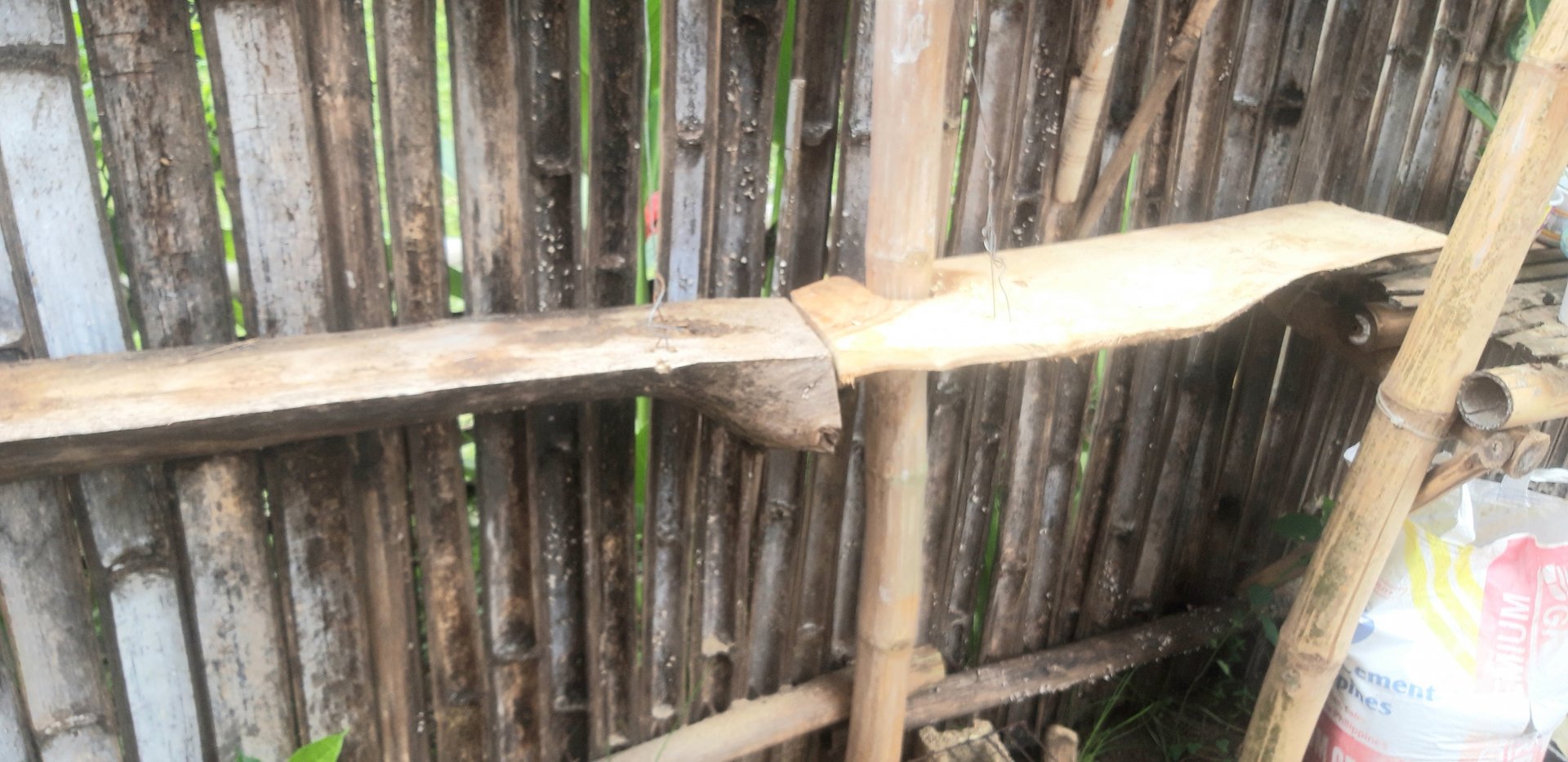 20200918_114632.jpg