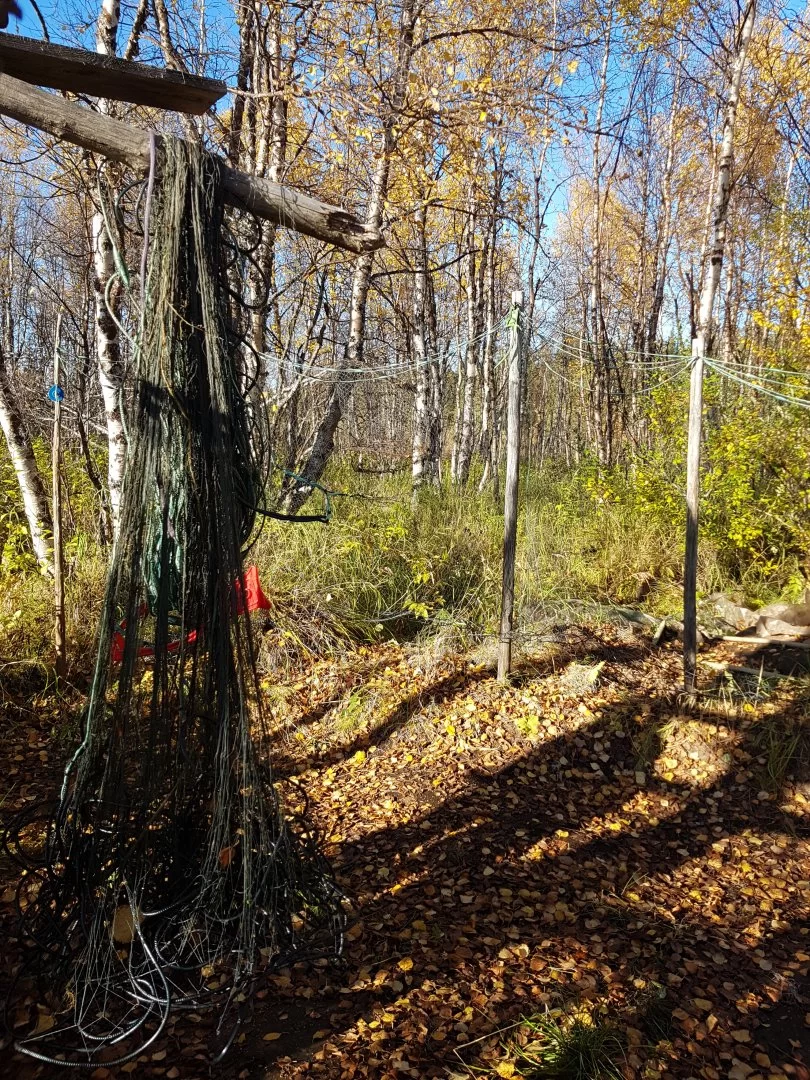 20200918_153832.webp