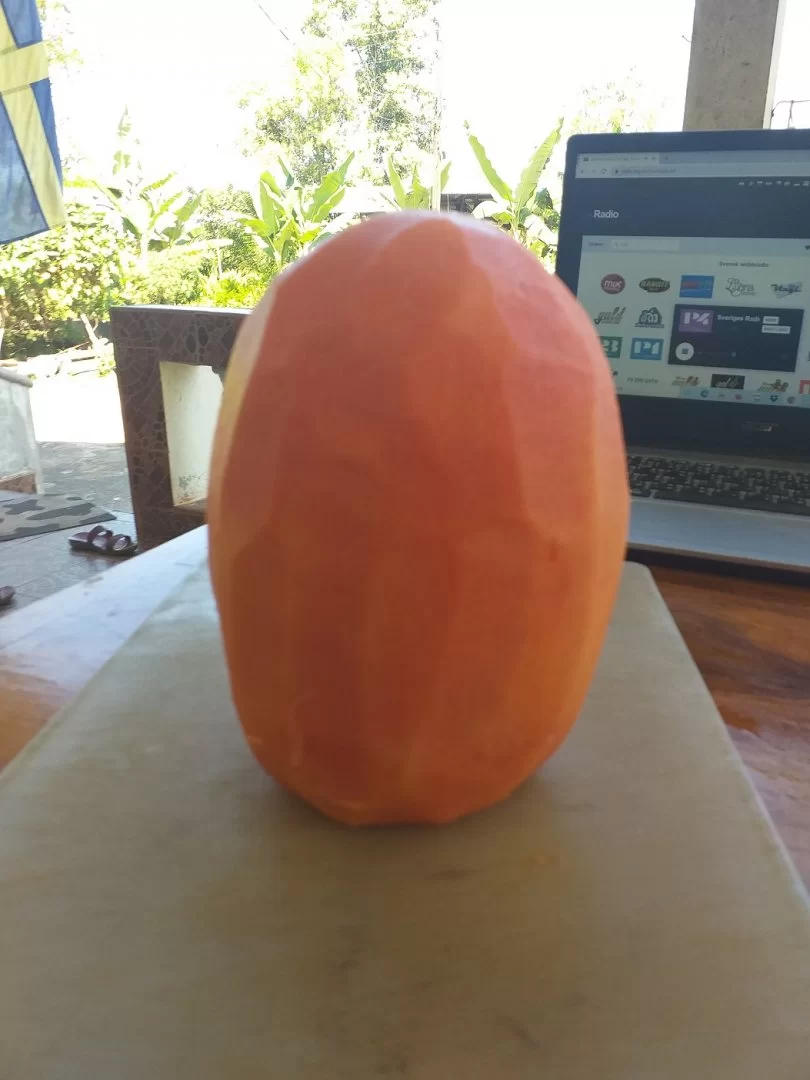 20201101_101147.jpg