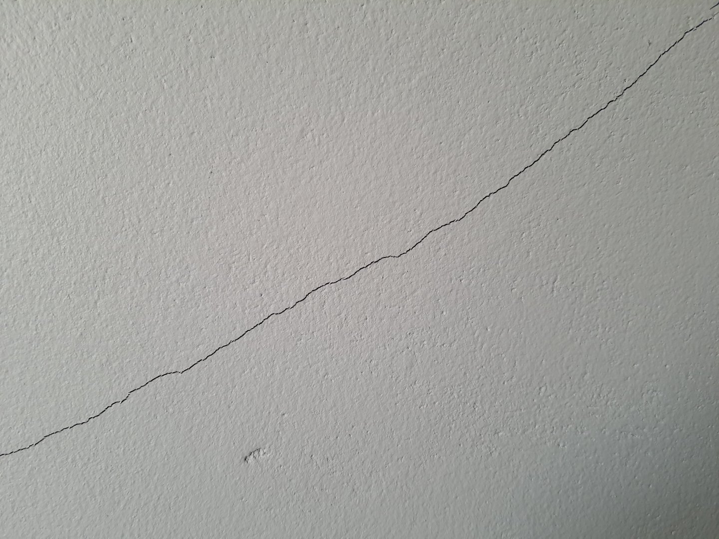 20210216_074853.jpg