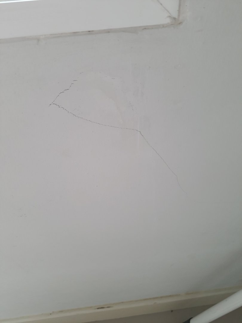 20210216_102939.jpg