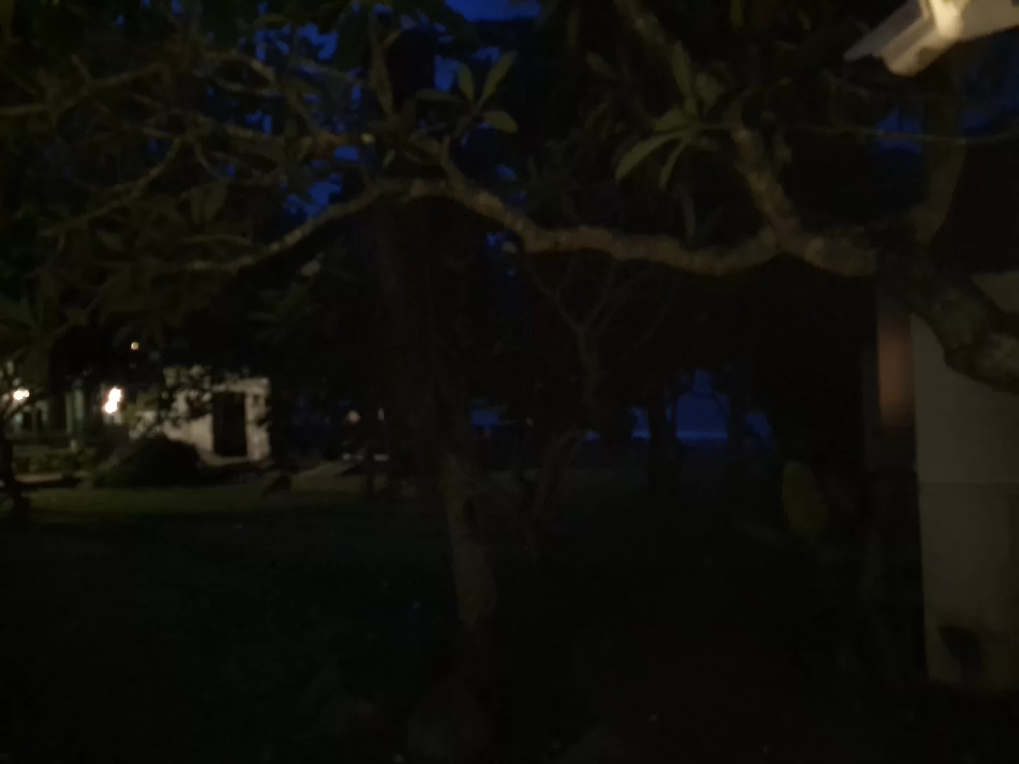 20210524_051629.webp