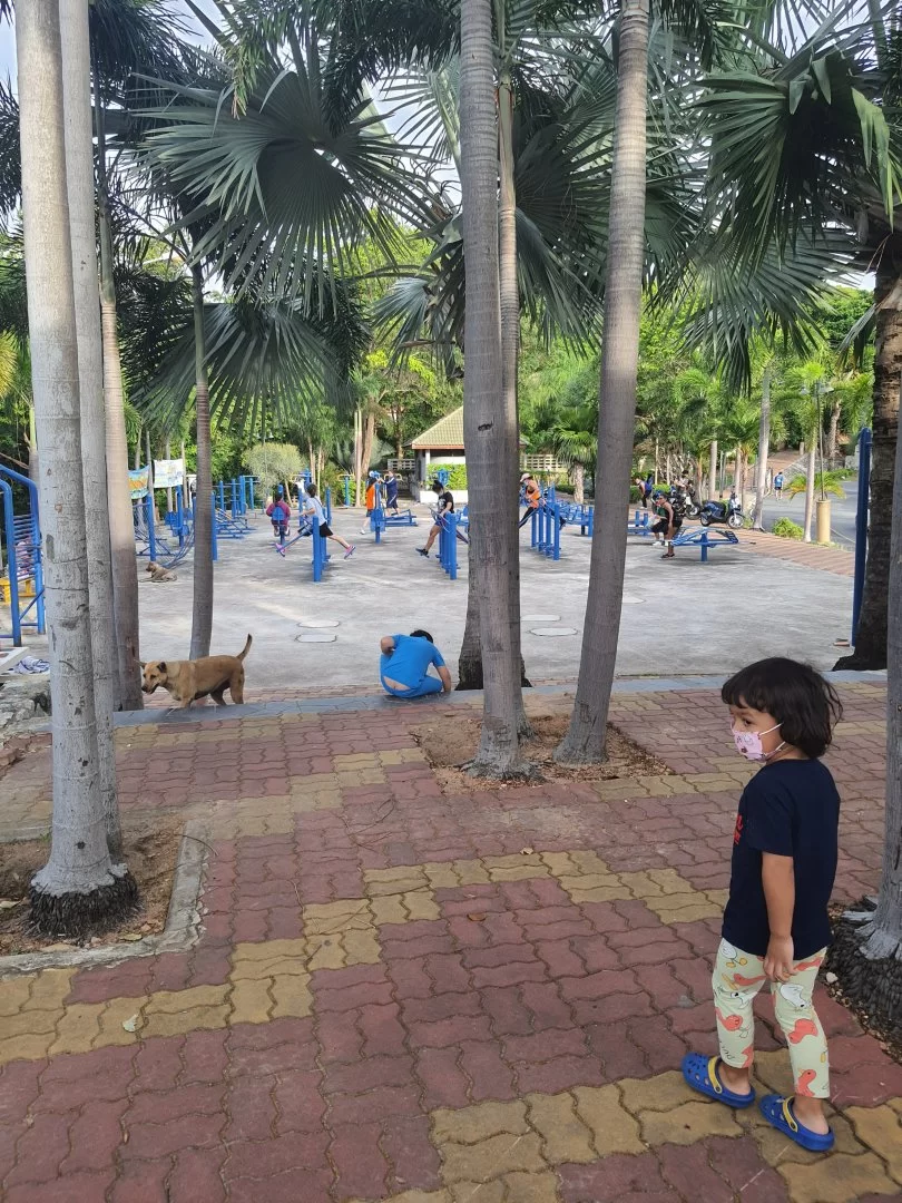 20210623_172739.webp
